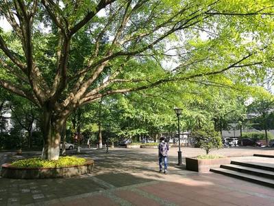 2019年成都農業科技職業學院校園地址位于哪里呢,有幾個校區?